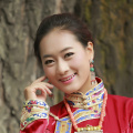 完美的妻子